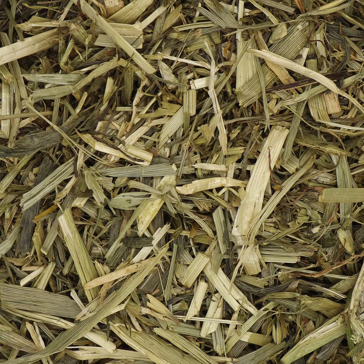 3449_315_GRUENHAFER_DETAIL_0003 3449_315_GRUENHAFER_DETAIL