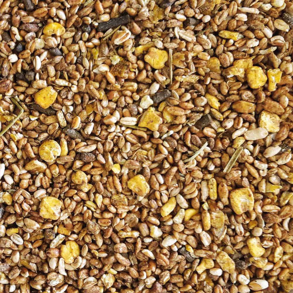 3136_300_EMH_GOLDEN_POWER_MUESLI_DETAIL