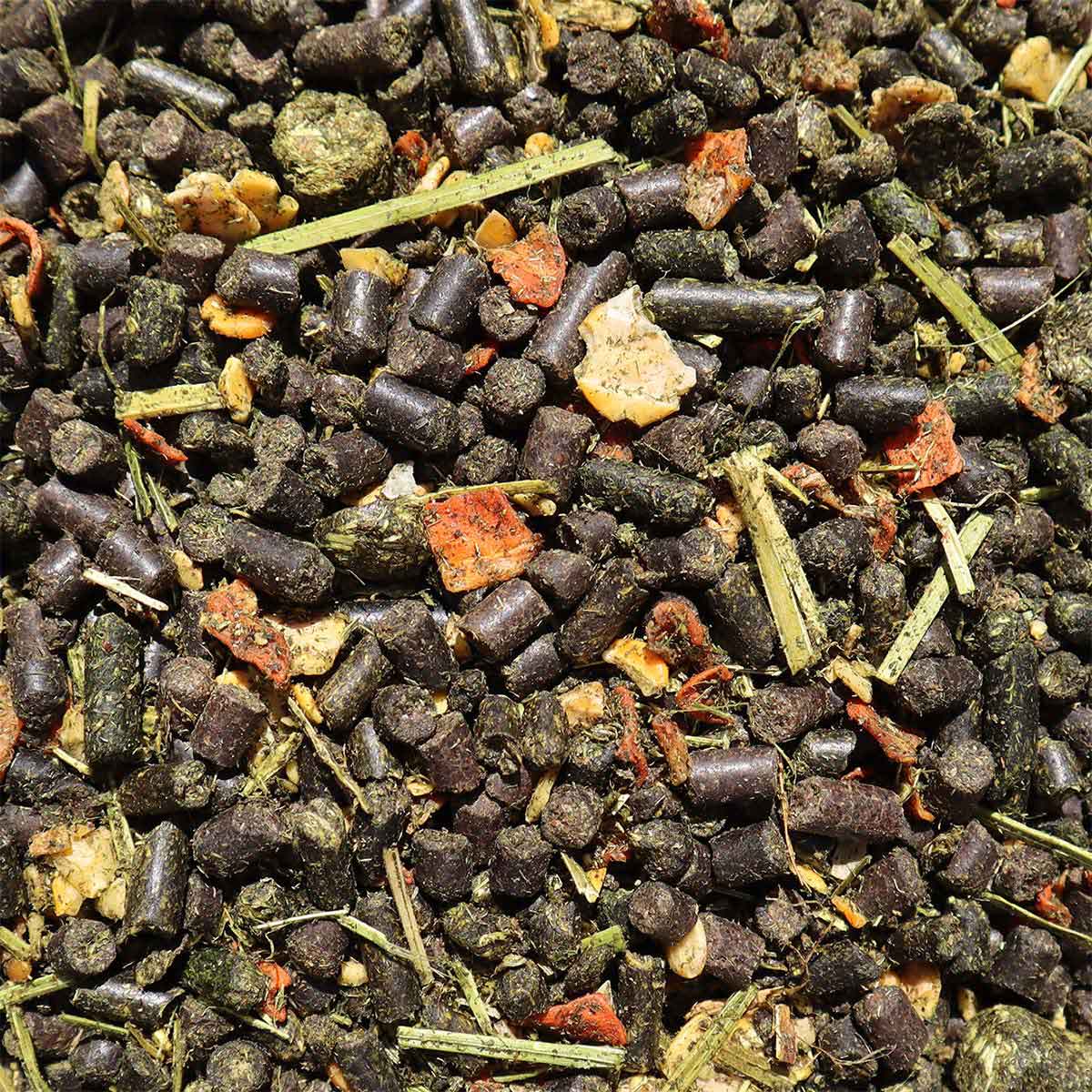 3255_300_SENIOR_MUESLI_GETREIDEFREI_DETAIL