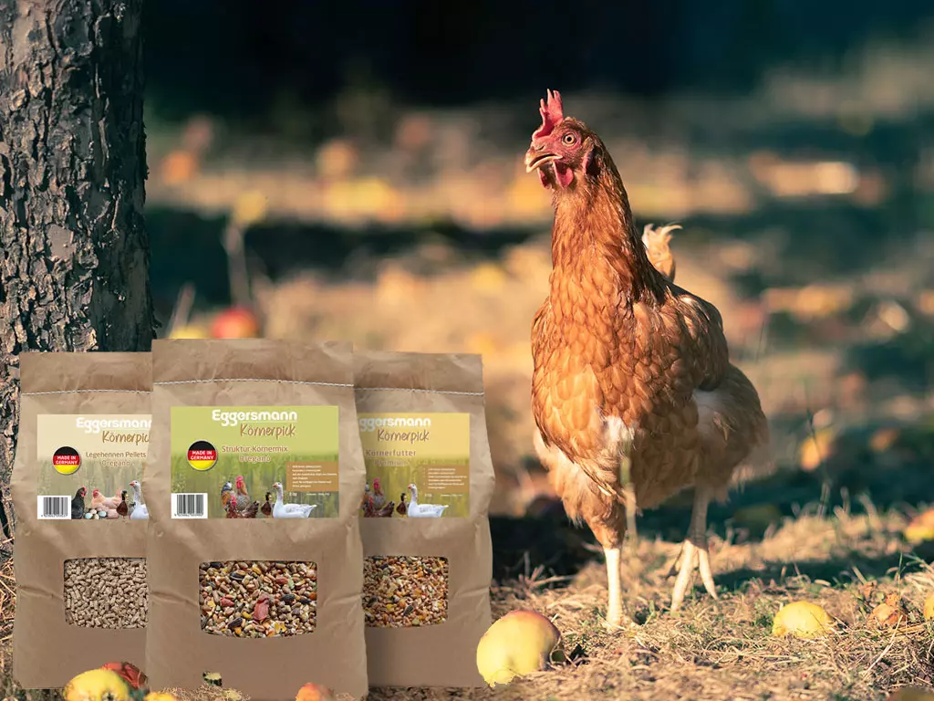 Premium Hühnerfutter online kaufen Premium Hühnerfutter online kaufen