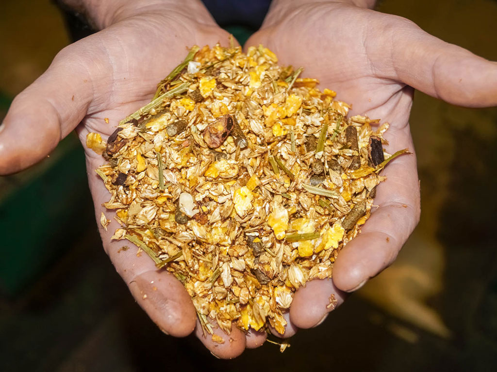 Pferdemuesli_Haende