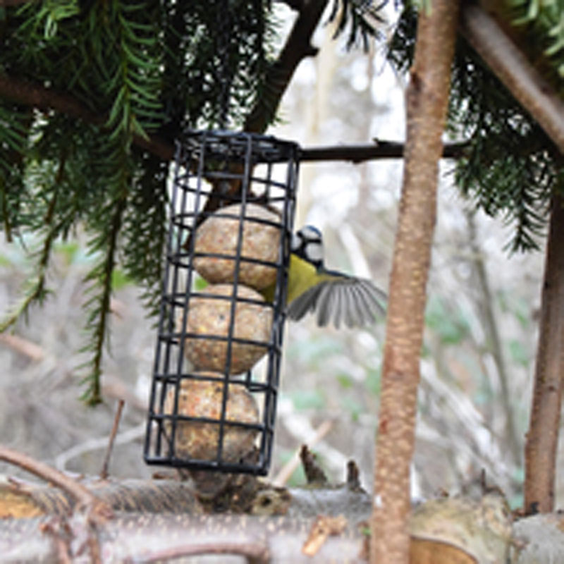 9995_127_SCHWEGLER_GITTERBOX_MEISENKNOEDEL_NAATURE