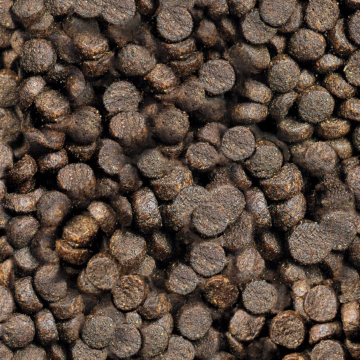 CARNEBELLO_TROCKENFUTTER_GEFLUEGEL_GETREIDEFREI_DETAIL