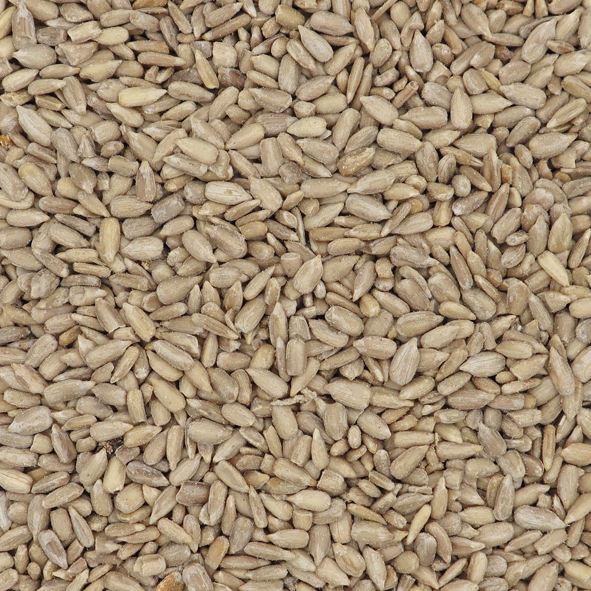 Eggersmann - Sonnenblumenkerne geschält 2,5 kg Eim