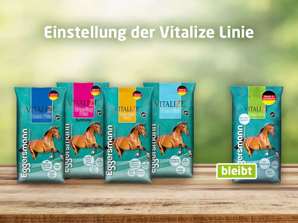 Einstellung der Vitalize Linie