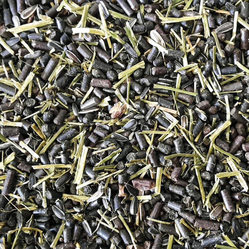 3252_300_GREEN_POWER_MUESLI_DETAIL