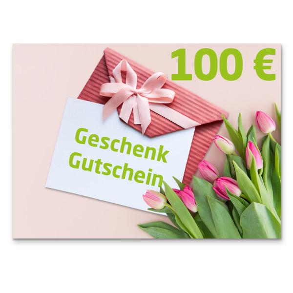 Geschenkgutschein 100,00 €